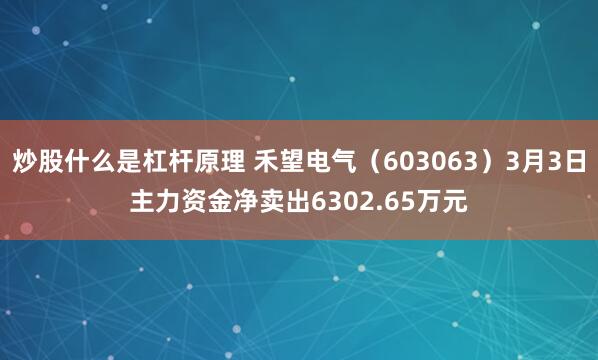 炒股什么是杠杆原理 禾望电气（603063）3月3日主力资金净卖出6302.65万元