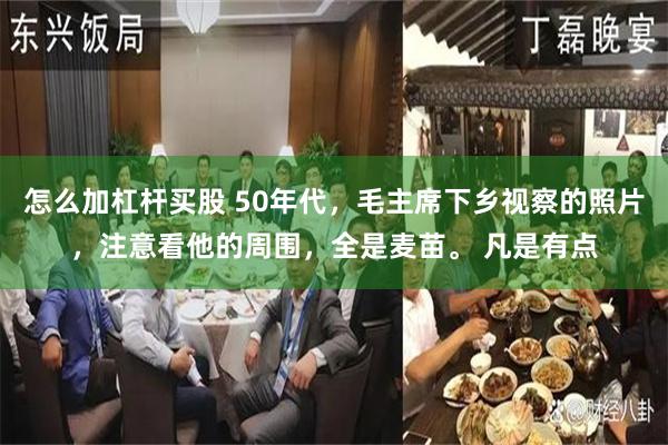 怎么加杠杆买股 50年代，毛主席下乡视察的照片，注意看他的周围，全是麦苗。 凡是有点