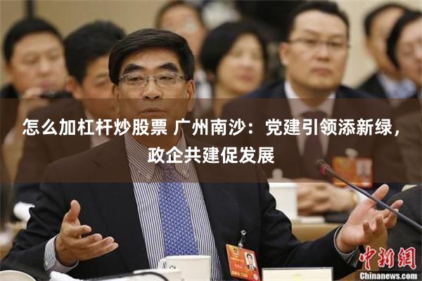 怎么加杠杆炒股票 广州南沙：党建引领添新绿，政企共建促发展