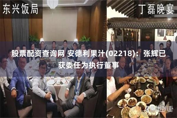 股票配资查询网 安德利果汁(02218)：张辉已获委任为执行董事