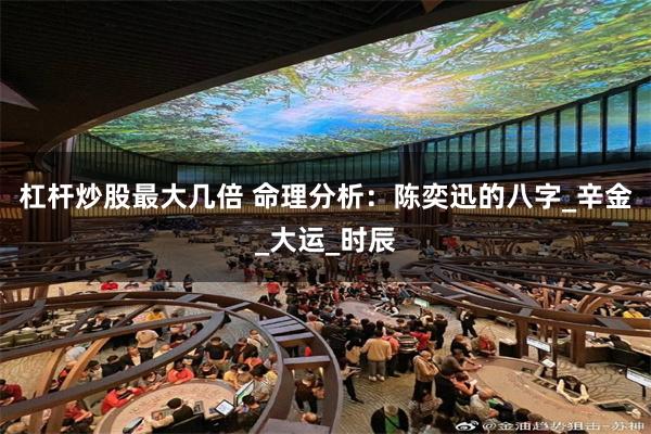杠杆炒股最大几倍 命理分析：陈奕迅的八字_辛金_大运_时辰