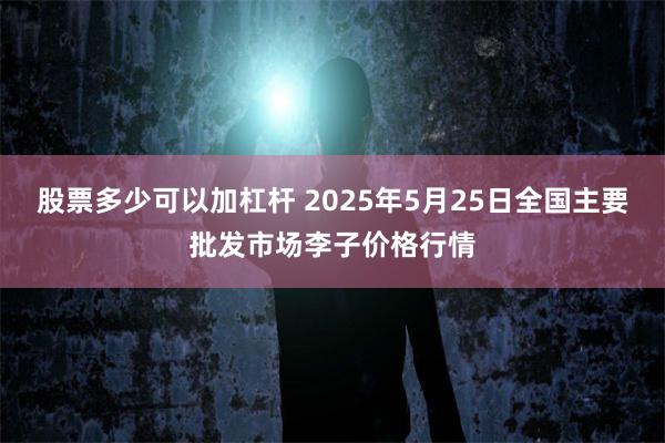 股票多少可以加杠杆 2025年5月25日全国主要批发市场李子价格行情