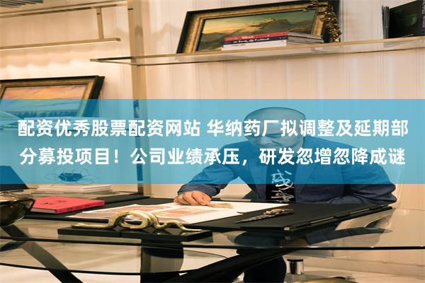 配资优秀股票配资网站 华纳药厂拟调整及延期部分募投项目！公司业绩承压，研发忽增忽降成谜