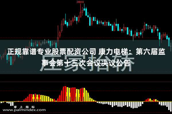 正规靠谱专业股票配资公司 康力电梯：第六届监事会第十三次会议决议公告