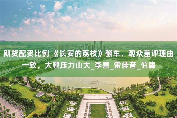 期货配资比例 《长安的荔枝》翻车，观众差评理由一致，大鹏压力山大_李善_雷佳音_伯庸