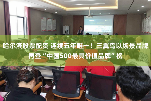 哈尔滨股票配资 连续五年唯一！三翼鸟以场景品牌再登“中国500最具价值品牌”榜
