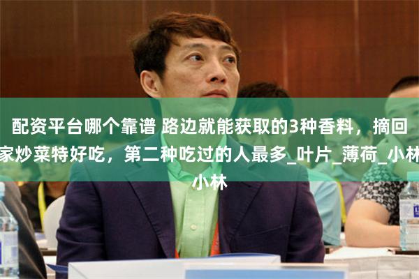配资平台哪个靠谱 路边就能获取的3种香料，摘回家炒菜特好吃，第二种吃过的人最多_叶片_薄荷_小林