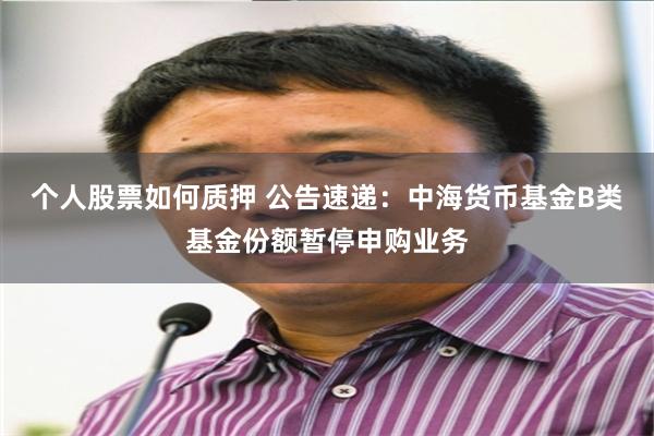 个人股票如何质押 公告速递：中海货币基金B类基金份额暂停申购业务