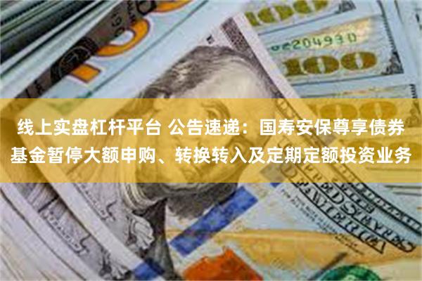线上实盘杠杆平台 公告速递：国寿安保尊享债券基金暂停大额申购、转换转入及定期定额投资业务