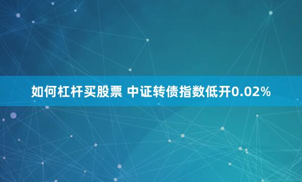 如何杠杆买股票 中证转债指数低开0.02%