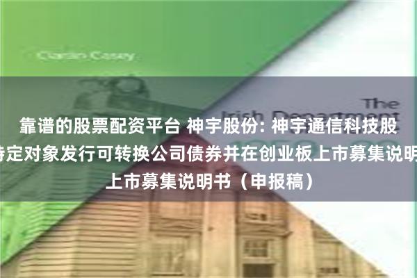 靠谱的股票配资平台 神宇股份: 神宇通信科技股份公司向不特定对象发行可转换公司债券并在创业板上市募集说明书(申报稿)