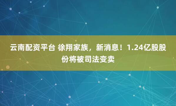 云南配资平台 徐翔家族，新消息！1.24亿股股份将被司法变卖