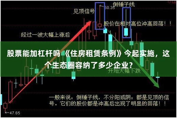 股票能加杠杆吗 《住房租赁条例》今起实施,这个生态圈容纳了多少企业?