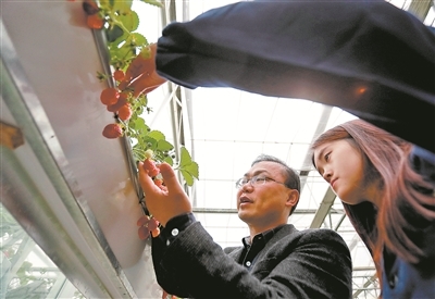 全智技術賦能教育創新 《中國教育報》電子版引領未來學習新生態